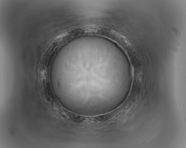 X0000112401445200908141329