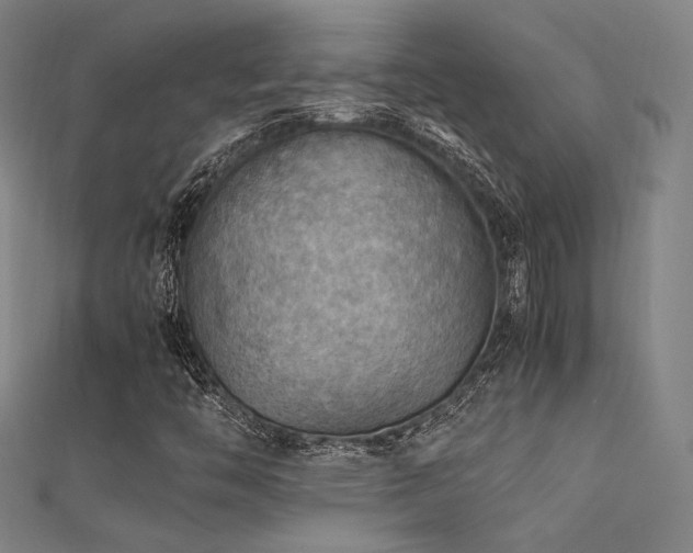 X0000112401446200908141329