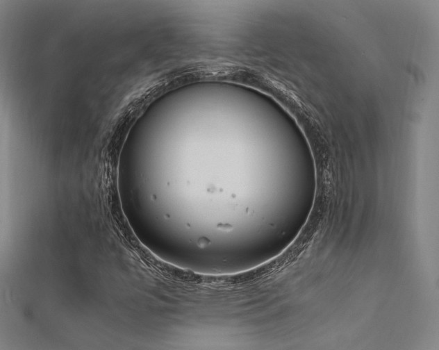 X0000112401447200908141329