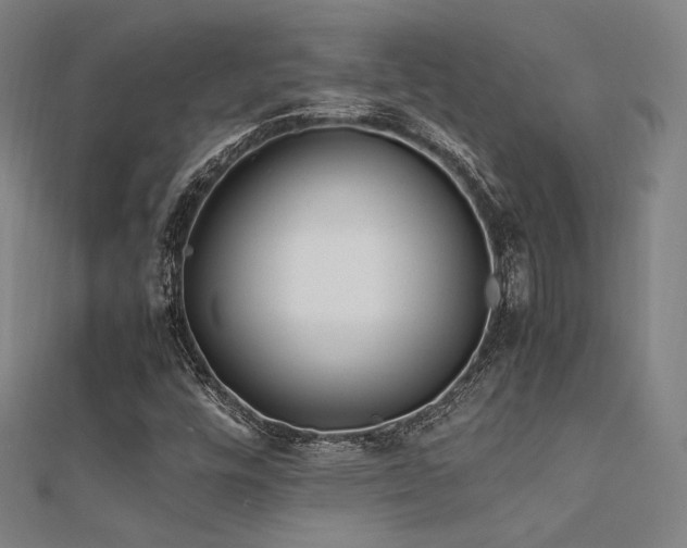 X0000112401448200908141329
