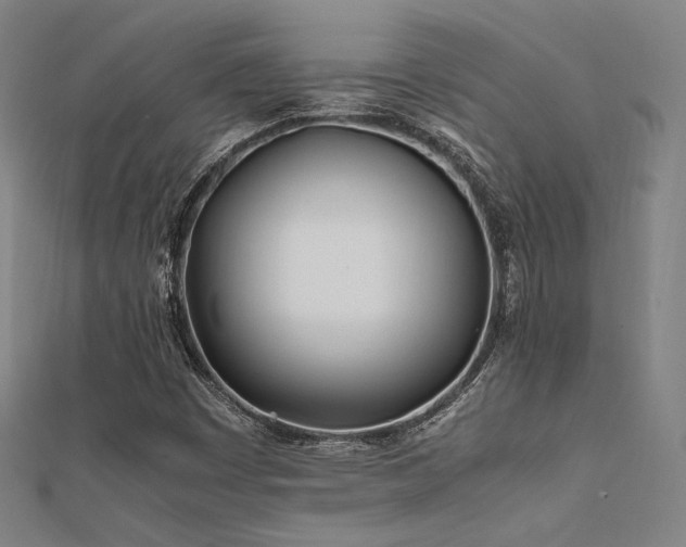X0000112401449200908141329
