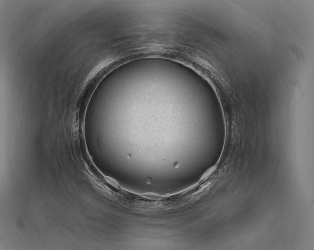 X0000112401450200908141329