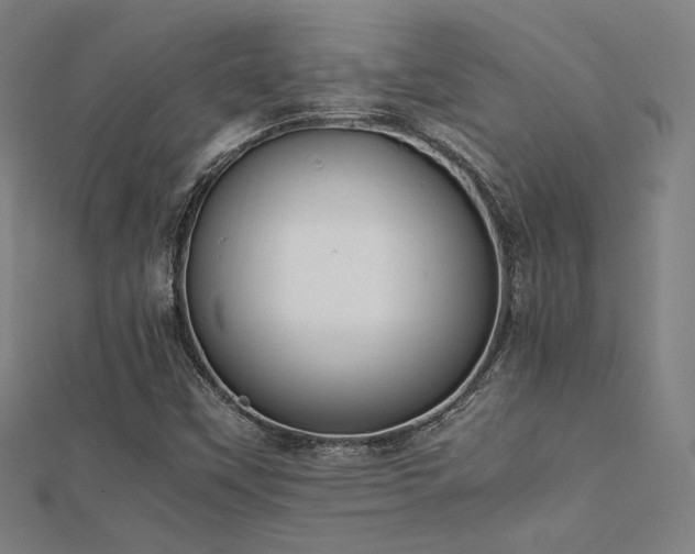 X0000112401451200908141329