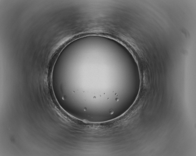 X0000112401452200908141329