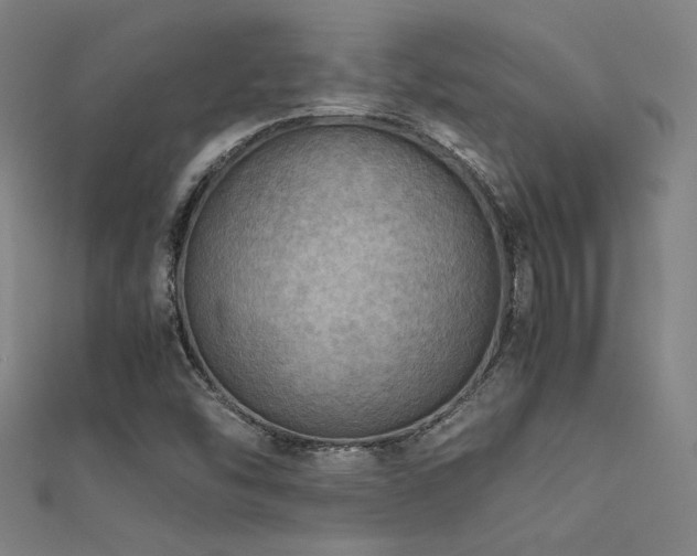 X0000112401454200908141329