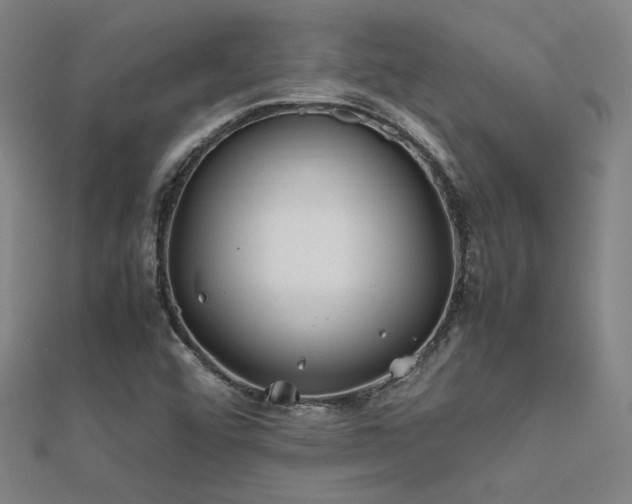 X0000112401456200908141329