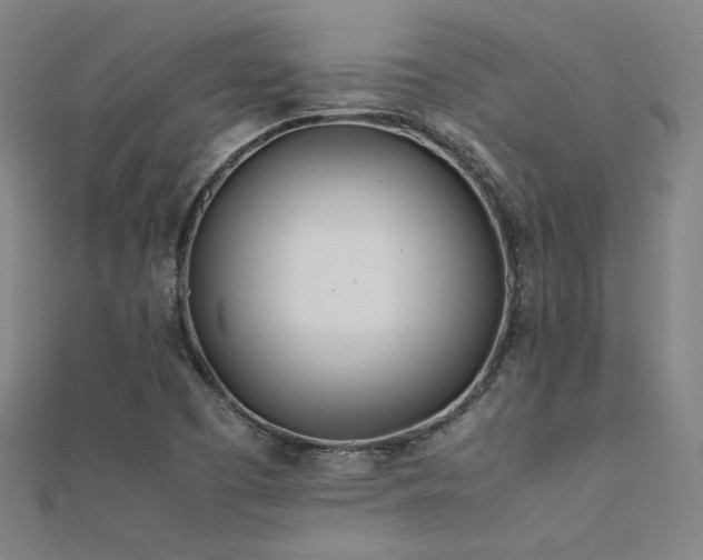 X0000112401457200908141328