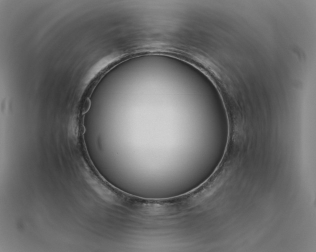 X0000112401458200908141328