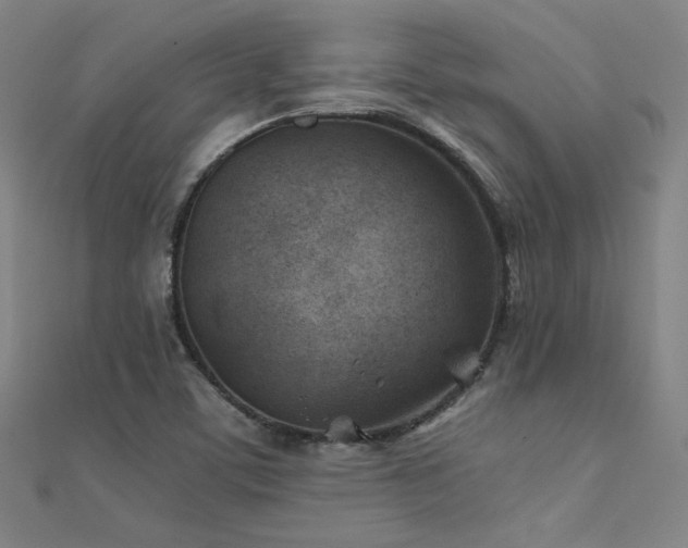 X0000112401459200908141328