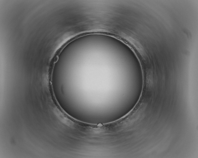 X0000112401460200908141328