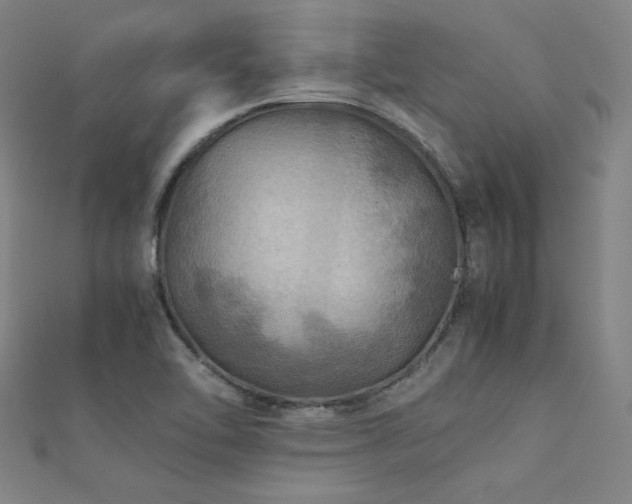 X0000112401462200908141328
