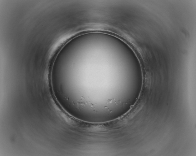 X0000112401464200908141328