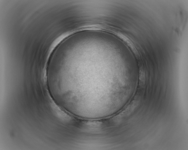 X0000112401466200908141328