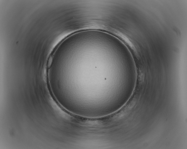 X0000112401468200908141328