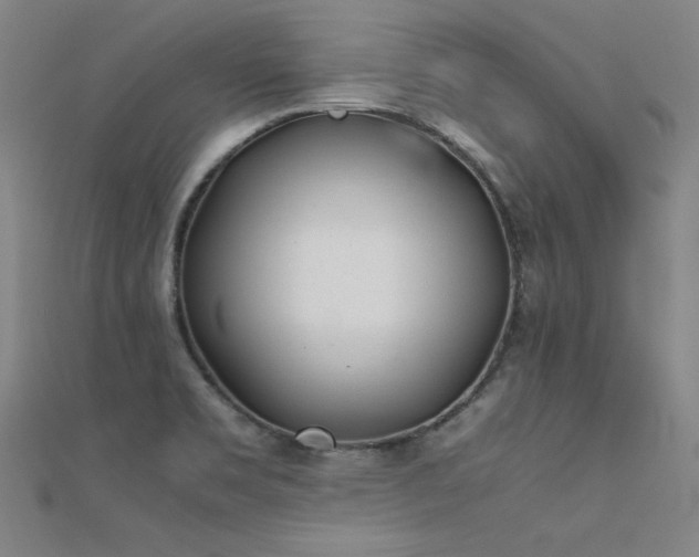 X0000112401469200908141328