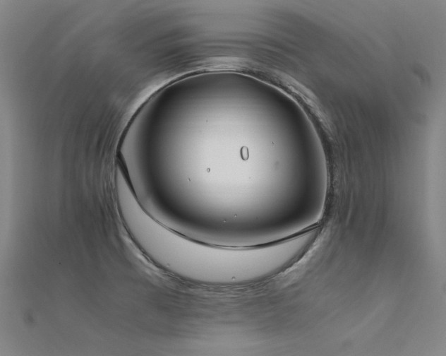 X0000112401473200908141328