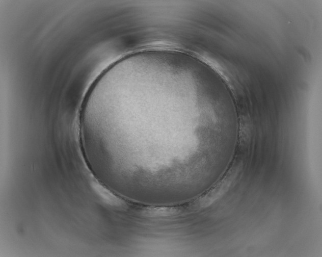 X0000112401474200908141328