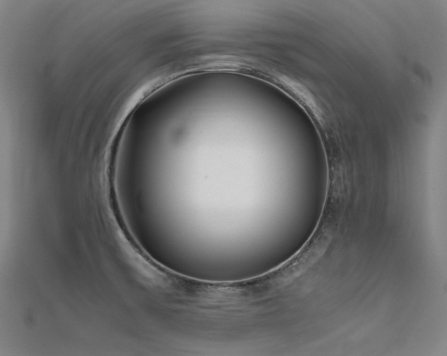 X0000112401475200908141328