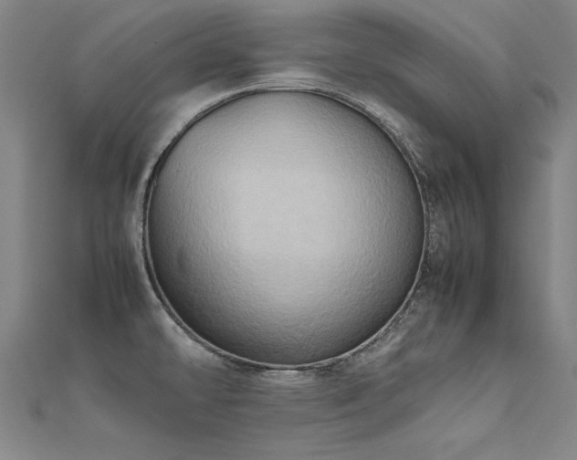 X0000112401478200908141328