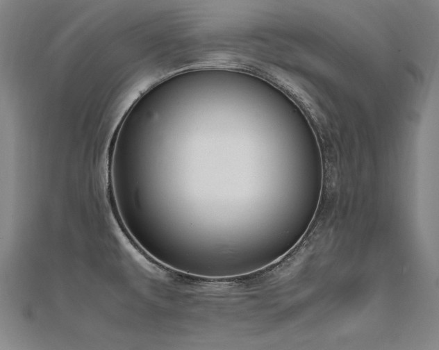 X0000112401479200908141328
