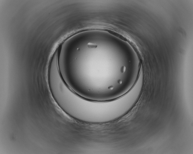 X0000112401480200908141328