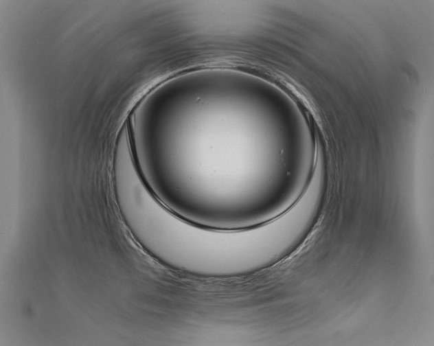 X0000112401481200908141328