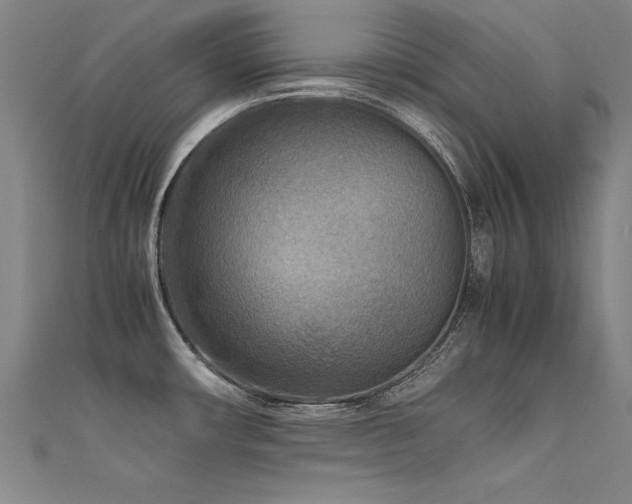 X0000112401482200908141328