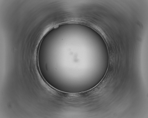 X0000112401483200908141328