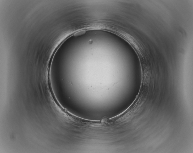 X0000112401484200908141328