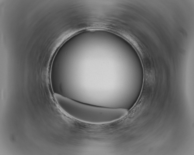 X0000112401485200908141328