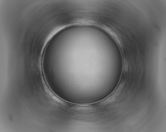 X0000112401486200908141328