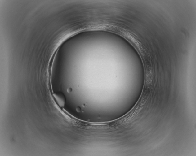 X0000112401487200908141328