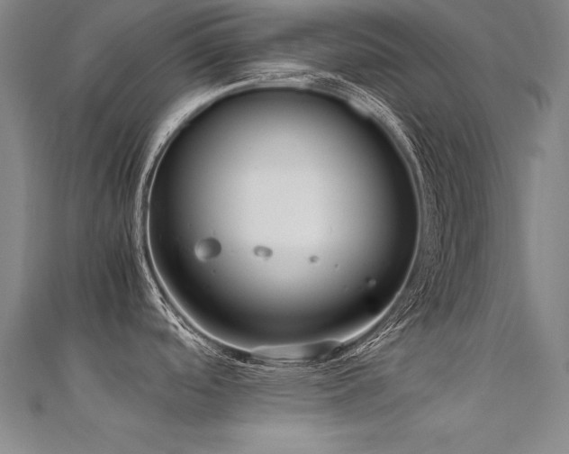 X0000112401488200908141328