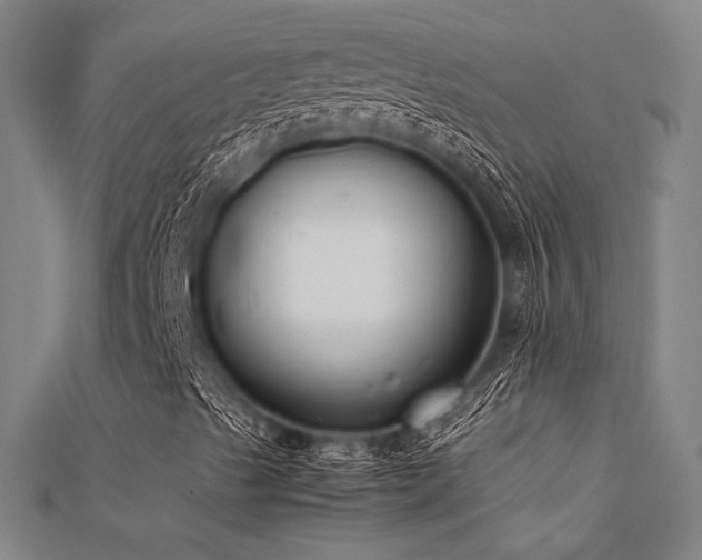 X0000112401489200908141327