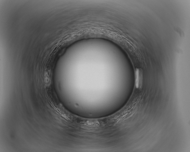 X0000112401491200908141328