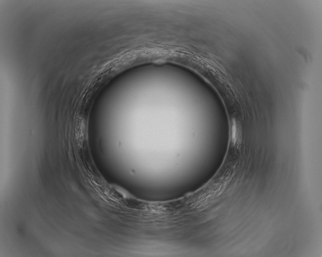 X0000112401492200908141328
