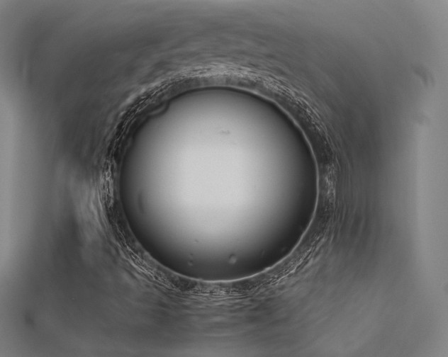 X0000112401493200908141328