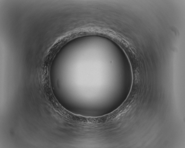 X0000112401494200908141328