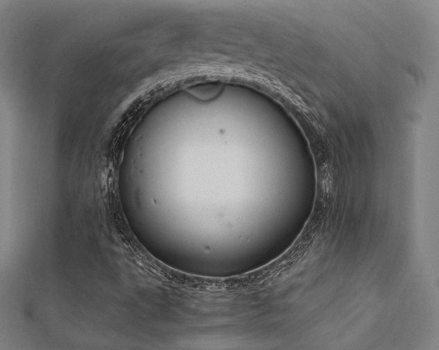 X0000112401495200908141328