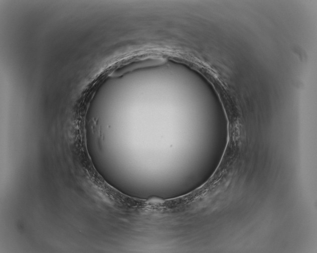 X0000112401496200908141328