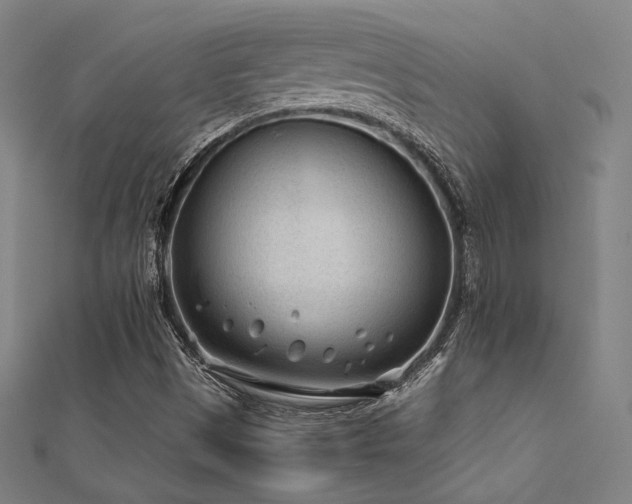 X0000112401497200908141328