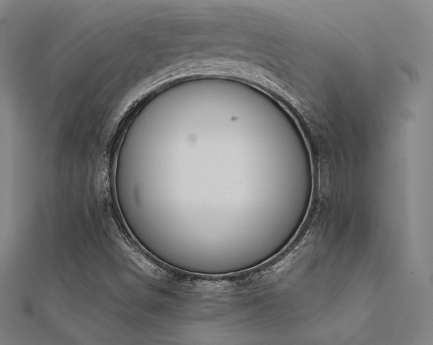 X0000112401498200908141328