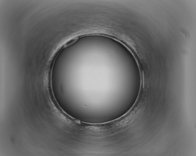 X0000112401500200908141328
