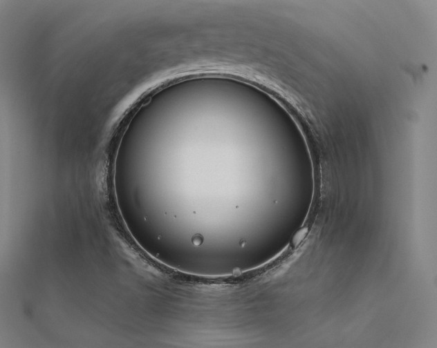 X0000112401502200908141328