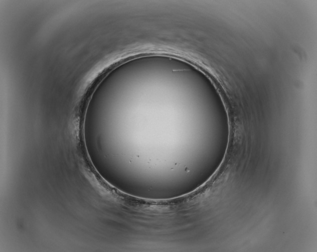X0000112401503200908141328