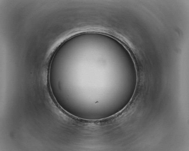 X0000112401504200908141328