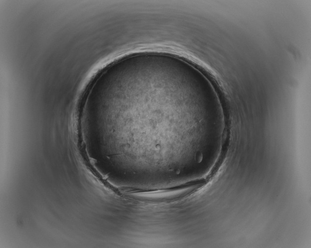 X0000112401506200908141328