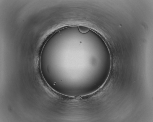 X0000112401507200908141328