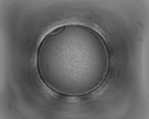 X0000112401508200908141328
