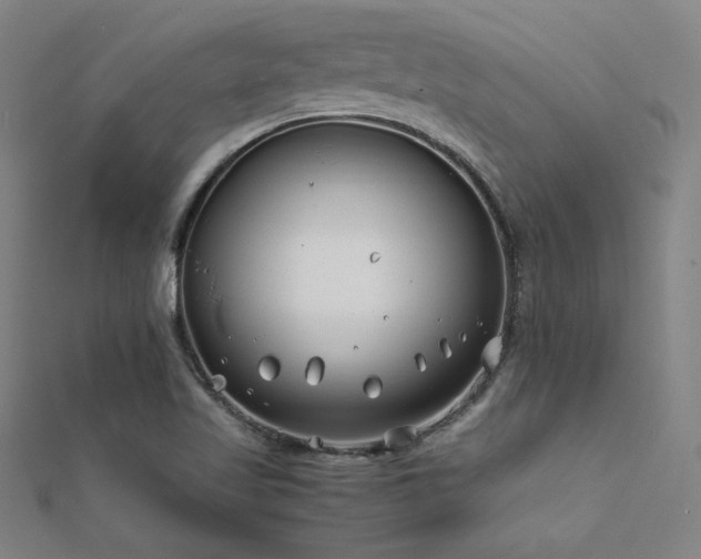 X0000112401509200908141328